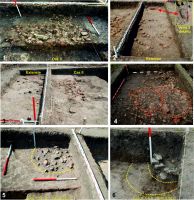 Chronicle of the Archaeological Excavations in Romania, 2016 Campaign. Report no. 76, Tăcuta, Dealul Miclea (Paic)<br /><a href='http://foto.cimec.ro/cronica/2016/076-Tacuta-VS-Punct-Dealul-Miclea-Paic/fig-3-tacuta-017-cas-ii-v.jpg' target=_blank>Display the same picture in a new window</a>