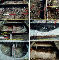 Chronicle of the Archaeological Excavations in Romania, 2016 Campaign. Report no. 76, Tăcuta, Dealul Miclea (Paic)<br /><a href='http://foto.cimec.ro/cronica/2016/076-Tacuta-VS-Punct-Dealul-Miclea-Paic/fig-4-tacuta-017-cas-v-gr-6.jpg' target=_blank>Display the same picture in a new window</a>