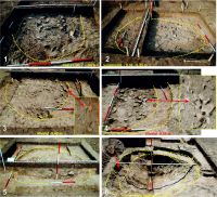 Chronicle of the Archaeological Excavations in Romania, 2016 Campaign. Report no. 76, Tăcuta, Dealul Miclea (Paic)<br /><a href='http://foto.cimec.ro/cronica/2016/076-Tacuta-VS-Punct-Dealul-Miclea-Paic/fig-5-tacuta-017-cas-vi-gr-7.jpg' target=_blank>Display the same picture in a new window</a>