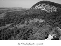 Chronicle of the Archaeological Excavations in Romania, 2016 Campaign. Report no. 98, Ciceu-Corabia, Cetatea Ciceului<br /><a href='http://foto.cimec.ro/cronica/2016/098-Ciceu-BN-Punct-Sub-Cetate/fig-1.jpg' target=_blank>Display the same picture in a new window</a>