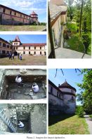 Chronicle of the Archaeological Excavations in Romania, 2016 Campaign. Report no. 105, Ineu, Cetatea Ineului<br /><a href='http://foto.cimec.ro/cronica/2016/105-Ineu-AR-Punct-Cetatea-Ineului/pl-2.jpg' target=_blank>Display the same picture in a new window</a>