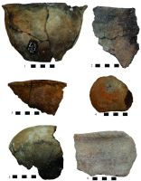 Chronicle of the Archaeological Excavations in Romania, 2016 Campaign. Report no. 109, Negrileşti, Şcoala Generală (La Punte, Pin, Curtea Şcolii).<br /> Sector 1-Planse.<br /><a href='http://foto.cimec.ro/cronica/2016/109-Negrilesti-GL-Punct-Negrilesti-Curtea-scolii/1-Planse/pl-22.jpg' target=_blank>Display the same picture in a new window</a>. Title: 1-Planse