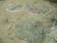 Chronicle of the Archaeological Excavations in Romania, 2016 Campaign. Report no. 112, Ovidiu, Faleză<br /><a href='http://foto.cimec.ro/cronica/2016/112-Ovidiu-CT-Punct-lot-4-lot-8/fig-14-ovidiu-2016-reyna-4-conturari-complexe.JPG' target=_blank>Display the same picture in a new window</a>