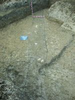 Chronicle of the Archaeological Excavations in Romania, 2016 Campaign. Report no. 112, Ovidiu, Faleză<br /><a href='http://foto.cimec.ro/cronica/2016/112-Ovidiu-CT-Punct-lot-4-lot-8/fig-23-ovidiu-2016-zeadin-conturare-c10.JPG' target=_blank>Display the same picture in a new window</a>