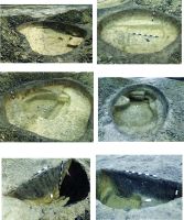 Chronicle of the Archaeological Excavations in Romania, 2016 Campaign. Report no. 118, Teiuş, Situl arheologic nr. 6/ km 30+480 - 30+750<br /><a href='http://foto.cimec.ro/cronica/2016/118-Teius-AB-Punct-Sit-6/pl-i.jpg' target=_blank>Display the same picture in a new window</a>