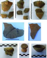 Chronicle of the Archaeological Excavations in Romania, 2016 Campaign. Report no. 118, Teiuş, Situl arheologic nr. 6/ km 30+480 – 30+750<br /><a href='http://foto.cimec.ro/cronica/2016/118-Teius-AB-Punct-Sit-6/pl-ii.jpg' target=_blank>Display the same picture in a new window</a>