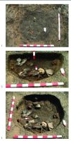 Chronicle of the Archaeological Excavations in Romania, 2016 Campaign. Report no. 122, Viştea, Pălută<br /><a href='http://foto.cimec.ro/cronica/2016/122-Vistea-CJ-Punct-Sit-3-Paluta/fig-2.jpg' target=_blank>Display the same picture in a new window</a>