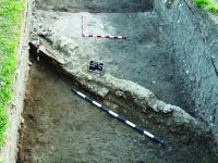 Chronicle of the Archaeological Excavations in Romania, 2017 Campaign. Report no. 1, Alba Iulia, str. Munteniei, nr. 15-17.<br /> Sector Ilustratie-Raportul-arheologic.<br /><a href='http://foto.cimec.ro/cronica/2017/01-Cercetari-sistematice/001-Alba-Iulia-jud-Alba-ApulumPal-Guvernatorului/Ilustratie-Raportul-arheologic/pl-vii.JPG' target=_blank>Display the same picture in a new window</a>