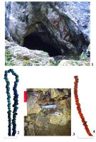 Chronicle of the Archaeological Excavations in Romania, 2017 Campaign. Report no. 11, Cioclovina, Peştera Ponorâci (Cioclovina cu Apă)<br /><a href='http://foto.cimec.ro/cronica/2017/01-Cercetari-sistematice/011-Cioclovina-com-Bosorod-jud-Hunedoara-pestera/pl-i-cioclovina-cu-apa.jpg' target=_blank>Display the same picture in a new window</a>