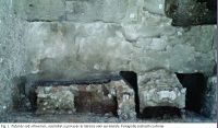 Chronicle of the Archaeological Excavations in Romania, 2017 Campaign. Report no. 23, Igriş<br /><a href='http://foto.cimec.ro/cronica/2017/01-Cercetari-sistematice/023-Igris-com-SanpetruMare-jud-Timis-15-sist/igris-timis-2017-figura-1.jpg' target=_blank>Display the same picture in a new window</a>