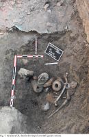 Chronicle of the Archaeological Excavations in Romania, 2017 Campaign. Report no. 23, Igriş, Igriş-mănăstirea Egres<br /><a href='http://foto.cimec.ro/cronica/2017/01-Cercetari-sistematice/023-Igris-com-SanpetruMare-jud-Timis-15-sist/igris-timis-2017-figura-7.jpg' target=_blank>Display the same picture in a new window</a>