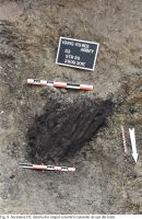 Chronicle of the Archaeological Excavations in Romania, 2017 Campaign. Report no. 23, Igriş<br /><a href='http://foto.cimec.ro/cronica/2017/01-Cercetari-sistematice/023-Igris-com-SanpetruMare-jud-Timis-15-sist/igris-timis-2017-figura-8.jpg' target=_blank>Display the same picture in a new window</a>