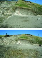 Cronica Cercetărilor Arheologice din România, Campania 2017. Raportul nr. 27, Isaccea, La Pontonul Vechi (Cetate, Eski-kale).<br /> Sectorul 023-6543.<br /><a href='http://foto.cimec.ro/cronica/2017/01-Cercetari-sistematice/027-Curtina-i/pl-11.jpg' target=_blank>Priveşte aceeaşi imagine într-o fereastră nouă</a>