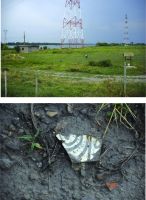 Cronica Cercetărilor Arheologice din România, Campania 2017. Raportul nr. 27, Isaccea, La Pontonul Vechi (Cetate, Eski-kale).<br /> Sectorul 023-6543.<br /><a href='http://foto.cimec.ro/cronica/2017/01-Cercetari-sistematice/027-Curtina-i/pl-5.jpg' target=_blank>Priveşte aceeaşi imagine într-o fereastră nouă</a>