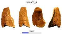 Chronicle of the Archaeological Excavations in Romania, 2017 Campaign. Report no. 28, Istria, Cetate.<br /> Sector IMDA-Histria-Acropola-Centru-Sud\HIS-ACS-IMDA-Figuri.<br /><a href='http://foto.cimec.ro/cronica/2017/01-Cercetari-sistematice/028-Istria-jud-Constanta-acropola-28/IMDA-Histria-Acropola-Centru-Sud/HIS-ACS-IMDA-Figuri/fig-5.jpg' target=_blank>Display the same picture in a new window</a>. Title: IMDA-Histria-Acropola-Centru-Sud\HIS-ACS-IMDA-Figuri