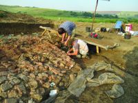 Chronicle of the Archaeological Excavations in Romania, 2017 Campaign. Report no. 58, Scânteia, La Nuci (Dealul Bodeştilor).<br /> Sector Rezerve.<br /><a href='http://foto.cimec.ro/cronica/2017/01-Cercetari-sistematice/058-Scanteia-jud-Iasi/fig-4-scanteia-2017.jpg' target=_blank>Display the same picture in a new window</a>