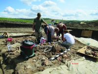Chronicle of the Archaeological Excavations in Romania, 2017 Campaign. Report no. 58, Scânteia, La Nuci (Dealul Bodeştilor).<br /> Sector Rezerve.<br /><a href='http://foto.cimec.ro/cronica/2017/01-Cercetari-sistematice/058-Scanteia-jud-Iasi/fig-6-scanteia-bucraniu-si-barnele-b-9-10.jpg' target=_blank>Display the same picture in a new window</a>