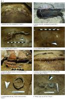 Chronicle of the Archaeological Excavations in Romania, 2017 Campaign. Report no. 67, Teleac, Gruşeţ - Hârburi<br /><a href='http://foto.cimec.ro/cronica/2017/01-Cercetari-sistematice/067-Teleac-Ciugud-jud-Alba-11/pl-2.jpg' target=_blank>Display the same picture in a new window</a>