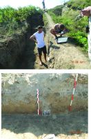 Chronicle of the Archaeological Excavations in Romania, 2017 Campaign. Report no. 115, Slava Rusă, Cetatea Fetei (Ibida, Kizil Hisar).<br /> Sector Ibida-planse-jpeg.<br /><a href='http://foto.cimec.ro/cronica/2017/03-Cercetari-de-diagnostic/115-Slava-Rusa-com-Slava-Cercheza-jud-Tulcea-52/plansa-2-ibida-diagnostic.jpg' target=_blank>Display the same picture in a new window</a>