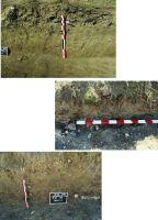 Chronicle of the Archaeological Excavations in Romania, 2017 Campaign. Report no. 115, Slava Rusă, Cetatea Fetei (Ibida, Kizil Hisar).<br /> Sector Ibida-planse-jpeg.<br /><a href='http://foto.cimec.ro/cronica/2017/03-Cercetari-de-diagnostic/115-Slava-Rusa-com-Slava-Cercheza-jud-Tulcea-52/plansa-3-ibida-diagnostic-arheologic-m-141.jpg' target=_blank>Display the same picture in a new window</a>