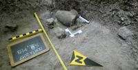 Cronica Cercetărilor Arheologice din România, Campania 2017. Raportul nr. 212, Cosota, Cosota<br /><a href='http://foto.cimec.ro/cronica/2017/rest-sapaturi-nepublicate/212-Ocnita-Buridava-Valcea/fig-7.jpg' target=_blank>Priveşte aceeaşi imagine într-o fereastră nouă</a>