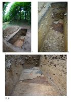 Chronicle of the Archaeological Excavations in Romania, 2017 Campaign. Report no. 213, Grădiştea De Munte, Sarmizegetusa Regia (Grădiştea Muncelului, Dealul Grădiştii)<br /><a href='http://foto.cimec.ro/cronica/2017/rest-sapaturi-nepublicate/213-Orastioara-de-Sus-Gradistea-de-munte/pl-ii.jpg' target=_blank>Display the same picture in a new window</a>