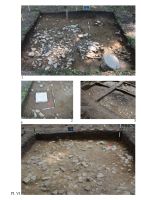 Chronicle of the Archaeological Excavations in Romania, 2017 Campaign. Report no. 213, Grădiştea De Munte, Sarmizegetusa Regia (Grădiştea Muncelului, Dealul Grădiştii)<br /><a href='http://foto.cimec.ro/cronica/2017/rest-sapaturi-nepublicate/213-Orastioara-de-Sus-Gradistea-de-munte/pl-vi.jpg' target=_blank>Display the same picture in a new window</a>
