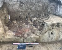 Chronicle of the Archaeological Excavations in Romania, 2018 Campaign. Report no. 26, Olteniţa, Măgura Gumelniţa (Măgura Calomfirescu).<br /> Sector 6600-sultana.<br /><a href='http://foto.cimec.ro/cronica/2018/1-sistematice/026-Gumelnita-CL-s/fig-6.jpg' target=_blank>Display the same picture in a new window</a>