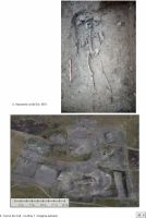 Cronica Cercetărilor Arheologice din România, Campania 2018. Raportul nr. 29, Isaccea, La Pontonul Vechi (Cetate, Eski-kale).<br /> Sectorul 023-6543.<br /><a href='http://foto.cimec.ro/cronica/2018/1-sistematice/029-Isaccea-Noviodunum-TL-s/pl-9.jpg' target=_blank>Priveşte aceeaşi imagine într-o fereastră nouă</a>