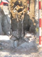 Chronicle of the Archaeological Excavations in Romania, 2018 Campaign. Report no. 34, Istria, Cetate.<br /> Sector Ilustratie-SAR-2018.<br /><a href='http://foto.cimec.ro/cronica/2018/1-sistematice/034-Istria-Histria-Sector-Sud-CT-s/fig-12-s15-m28-2018.JPG' target=_blank>Display the same picture in a new window</a>
