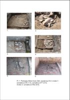Chronicle of the Archaeological Excavations in Romania, 2018 Campaign. Report no. 54, Pietroasa Mică, Gruiu Dării<br /><a href='http://foto.cimec.ro/cronica/2018/1-sistematice/054-PietroasaMica-Gruiu-Darii-BZ-s/pl-1-gruiu-darii-2018.jpg' target=_blank>Display the same picture in a new window</a>