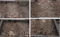 Chronicle of the Archaeological Excavations in Romania, 2018 Campaign. Report no. 61, Ripiceni, La Holm (La Telescu)<br /><a href='http://foto.cimec.ro/cronica/2018/1-sistematice/061-Ripiceni-BT-s/fig-3-ripiceni-sl-6-m-9-15-ok.jpg' target=_blank>Display the same picture in a new window</a>