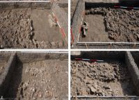 Chronicle of the Archaeological Excavations in Romania, 2018 Campaign. Report no. 61, Ripiceni, La Holm (La Telescu)<br /><a href='http://foto.cimec.ro/cronica/2018/1-sistematice/061-Ripiceni-BT-s/fig-4-ripiceni-018-sl-6-m-15-21.jpg' target=_blank>Display the same picture in a new window</a>
