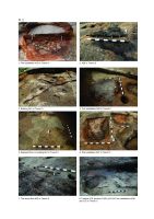 Chronicle of the Archaeological Excavations in Romania, 2018 Campaign. Report no. 80, Teleac, Gruşeţ - Hârburi<br /><a href='http://foto.cimec.ro/cronica/2018/1-sistematice/080-Teleac-Ciugud-AB-s/pl-2.jpg' target=_blank>Display the same picture in a new window</a>