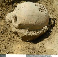 Cronica Cercetărilor Arheologice din România, Campania 2018. Raportul nr. 82, Capidava, Cetate.<br /> Sectorul 3-sectorul-X-necropola-medio-bizantina.<br /><a href='http://foto.cimec.ro/cronica/2018/1-sistematice/082-Topalu-Capidava-CT-s/3-sectorul-X-necropola-medio-bizantina/fig-5.jpg' target=_blank>Priveşte aceeaşi imagine într-o fereastră nouă</a>. Titlu: 3-sectorul-X-necropola-medio-bizantina