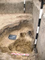 Chronicle of the Archaeological Excavations in Romania, 2018 Campaign. Report no. 94, Vlădeni, Popina Blagodeasca.<br /> Sector Figuri-raport.<br /><a href='http://foto.cimec.ro/cronica/2018/1-sistematice/094-Vladina-Blagodeasca-IL-s/Figuri-raport/fig-5.JPG' target=_blank>Display the same picture in a new window</a>. Title: Figuri-raport