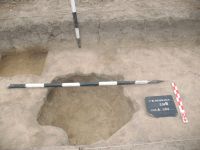 Chronicle of the Archaeological Excavations in Romania, 2018 Campaign. Report no. 94, Vlădeni, Popina Blagodeasca.<br /> Sector Figuri-raport.<br /><a href='http://foto.cimec.ro/cronica/2018/1-sistematice/094-Vladina-Blagodeasca-IL-s/Figuri-raport/fig-8.JPG' target=_blank>Display the same picture in a new window</a>. Title: Figuri-raport
