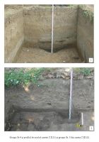 Chronicle of the Archaeological Excavations in Romania, 2018 Campaign. Report no. 105, Coşoteni<br /><a href='http://foto.cimec.ro/cronica/2018/2-preventive/105-Cososteni-TR-p/plansa-09.JPG' target=_blank>Display the same picture in a new window</a>
