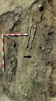 Chronicle of the Archaeological Excavations in Romania, 2018 Campaign. Report no. 115, Moreni, Biserica "Sfânta Paraschiva"<br /><a href='http://foto.cimec.ro/cronica/2018/2-preventive/115-Moreni-NT-p/fig-3.JPG' target=_blank>Display the same picture in a new window</a>