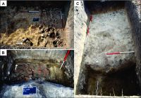 Chronicle of the Archaeological Excavations in Romania, 2018 Campaign. Report no. 138, Ştefăneşti, Hulboca<br /><a href='http://foto.cimec.ro/cronica/2018/3-diagnostic/138-Stefanesti-Hulboca-BT-d/fig-4.jpg' target=_blank>Display the same picture in a new window</a>