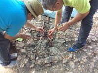 Cronica Cercetărilor Arheologice din România, Campania 2019. Raportul nr. 25