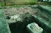 Chronicle of the Archaeological Excavations in Romania, 2019 Campaign. Report no. 35, Igriş<br /><a href='http://foto.cimec.ro/cronica/2019/01-sistematice/035-igris-tm-s/igris-timis-2019-fig-3-sectiunea-e1-vedere-generala-dinspre-vest.JPG' target=_blank>Display the same picture in a new window</a>