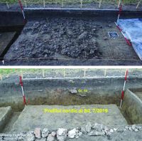 Chronicle of the Archaeological Excavations in Romania, 2019 Campaign. Report no. 62, Ripiceni, La Holm (La Telescu)<br /><a href='http://foto.cimec.ro/cronica/2019/01-sistematice/062-ripiceni-bt-holm-s/fig-10-ripiceni-019-copy.jpg' target=_blank>Display the same picture in a new window</a>