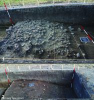 Chronicle of the Archaeological Excavations in Romania, 2019 Campaign. Report no. 62, Ripiceni, La Holm (La Telescu)<br /><a href='http://foto.cimec.ro/cronica/2019/01-sistematice/062-ripiceni-bt-holm-s/fig-3-ripiceni-019-copy.jpg' target=_blank>Display the same picture in a new window</a>