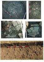 Cronica Cercetărilor Arheologice din România, Campania 2019. Raportul nr. 74, Şoimeşti, Dealul Merezu (La Merez).<br /> Sectorul 6602-soimesti.<br /><a href='http://foto.cimec.ro/cronica/2019/01-sistematice/074-soimesti-ceptura-ph-dealul-merez-s/plansa-2.jpg' target=_blank>Priveşte aceeaşi imagine într-o fereastră nouă</a>