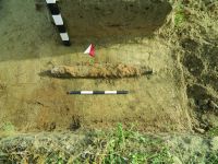 Chronicle of the Archaeological Excavations in Romania, 2019 Campaign. Report no. 81, Capidava, Sector X -Terme şi Necropole.<br /> Sector ilustratie-sector-x-necropola-cca-2020.<br /><a href='http://foto.cimec.ro/cronica/2019/01-sistematice/081-topalu-ct-capidava-s/ilustratie-sector-x-necropola-cca-2020/fig-20-spatha-in-situ.JPG' target=_blank>Display the same picture in a new window</a>. Title: ilustratie-sector-x-necropola-cca-2020