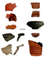 Chronicle of the Archaeological Excavations in Romania, 2020 Campaign. Report no. 4, Alba Iulia, Str. Munteniei nr. 15-17<br /><a href='http://foto.cimec.ro/cronica/2020/01-Sistematice/004-alba-iulia/pl-viii.jpg' target=_blank>Display the same picture in a new window</a>