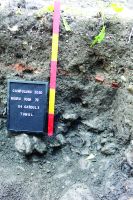 Chronicle of the Archaeological Excavations in Romania, 2020 Campaign. Report no. 10, Câmpulung, Str. Negru Vodă, nr. 76<br /><a href='http://foto.cimec.ro/cronica/2020/01-Sistematice/010-campulung/fig-9.JPG' target=_blank>Display the same picture in a new window</a>