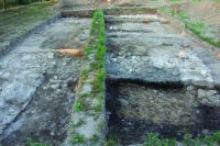 Chronicle of the Archaeological Excavations in Romania, 2020 Campaign. Report no. 38, Pojejena, Şitarniţa (Via Bogdanovici)<br /><a href='http://foto.cimec.ro/cronica/2020/01-Sistematice/038-pojejena/4-pojojena.jpg' target=_blank>Display the same picture in a new window</a>