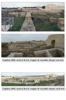 Chronicle of the Archaeological Excavations in Romania, 2020 Campaign. Report no. 53, Topalu, Cetatea Capidava<br /><a href='http://foto.cimec.ro/cronica/2020/01-Sistematice/053-topalu/pl-11-capidava-2020-sectorul-de-est-imagini-de-ansamblu.jpg' target=_blank>Display the same picture in a new window</a>